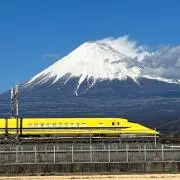 ひまわりの画像