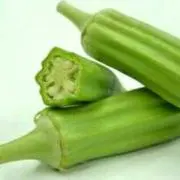 きりんの画像