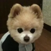 よっちぃ