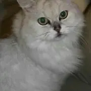 にこ