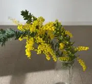 mの画像