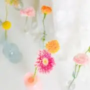 amyの画像