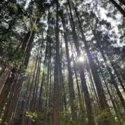 mxmmの画像