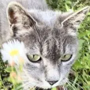 ケイティ