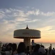 Y