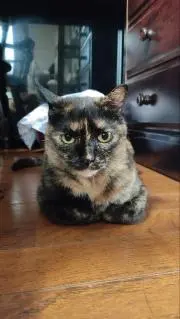 ナミ