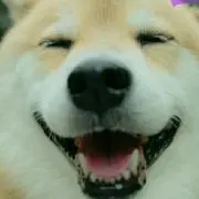 リラ ※ 即購入禁止※の画像