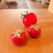 もぼの画像