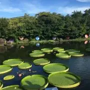 えんの画像