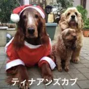 あんず