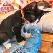 ちゅん.