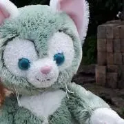 ジェラの画像