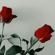 もなかの画像