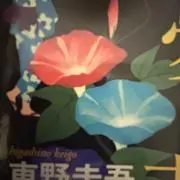 あさがおの画像