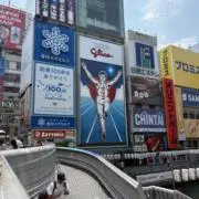 はちたにごん