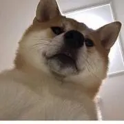 拓ちゃむの画像
