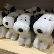 mmの画像