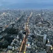 かいの画像