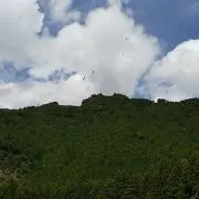 ゆた