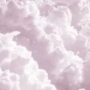 ねこの画像