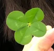 ぽん*の画像