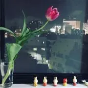かづき