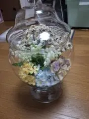 ★STAR★の画像