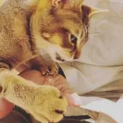ゆっち。の画像
