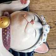 ふくしらこの画像
