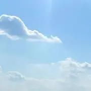 ひちょの画像