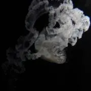 y._.yの画像