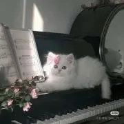 ののの画像