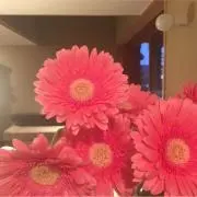 ピッコロ