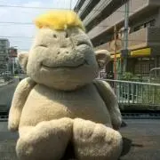 kiicoの画像