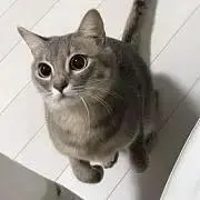 もやし(まとめ売り大歓迎)の画像