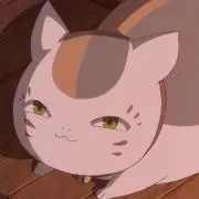 しーさんの画像