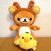 tanuの画像