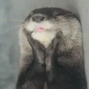 ゆんの画像