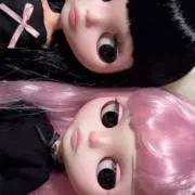 しの画像