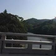 ちゅん