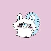 たいぬの画像