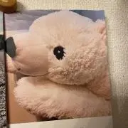 ※購入前にコメントお願いします※シロクマ