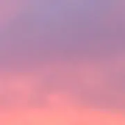 あきの画像