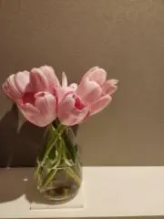 Yu3の画像