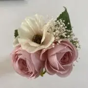 T.R.の画像