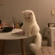 りの画像