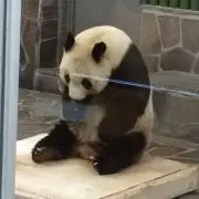 りいな*+゜