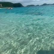 まろの画像