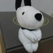 nao