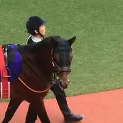 SAKU ★プロフ必読くださいの画像